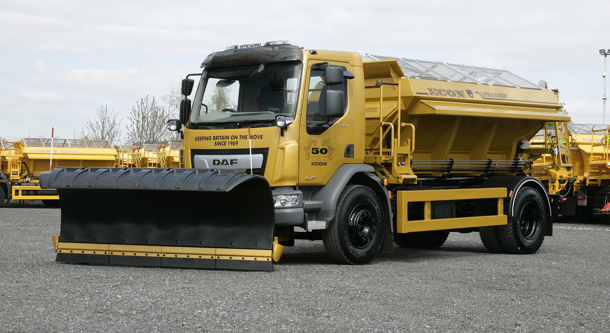 Goldie the golden gritter to bring joy when the weather gets bitter ...